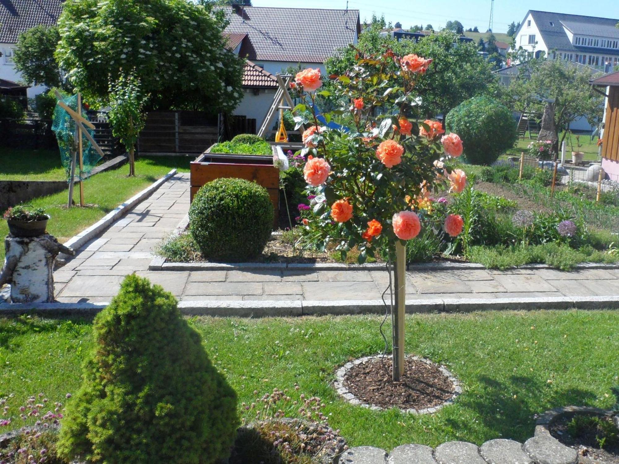 Ferienwohnung Eleonore Messstetten Esterno foto